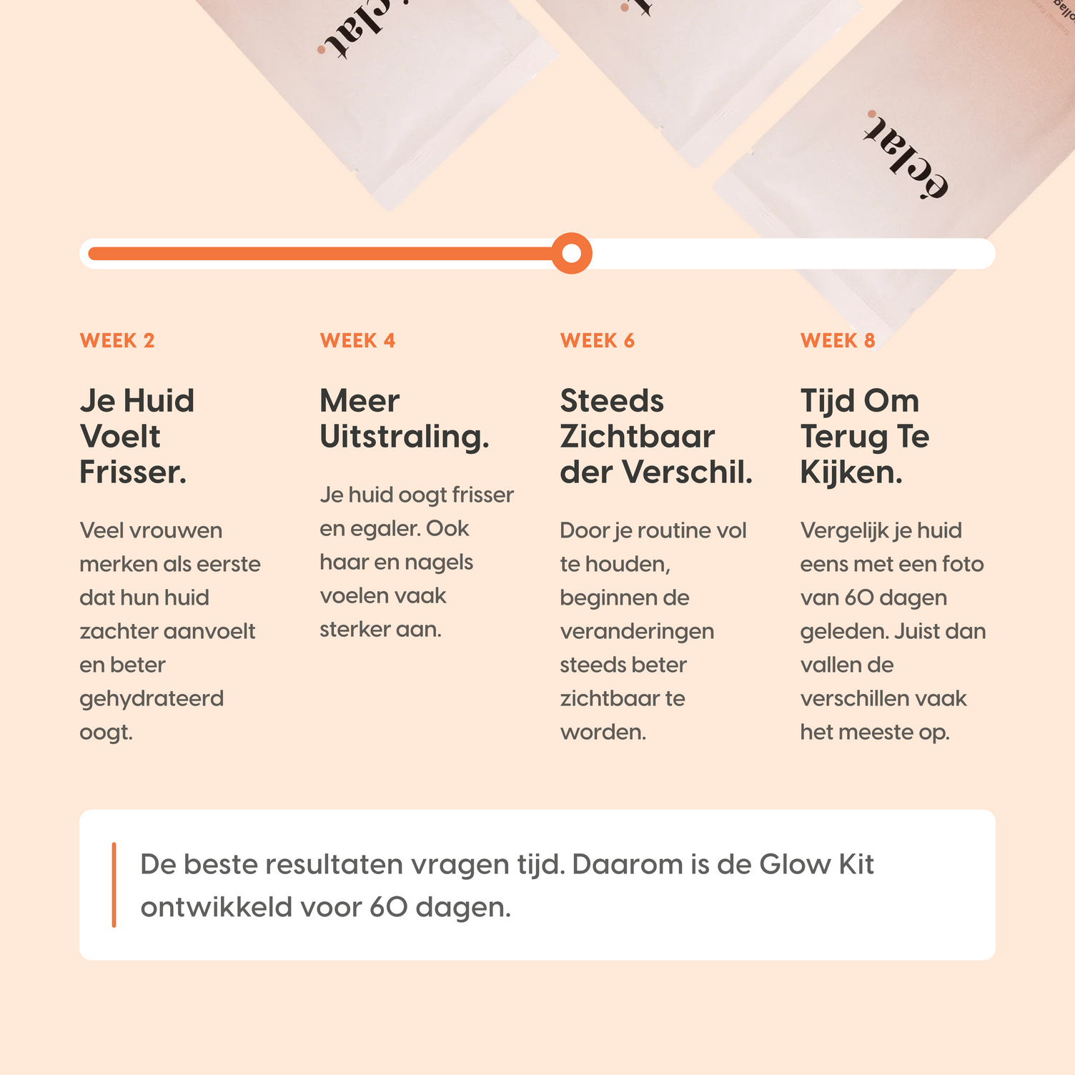 Timeline